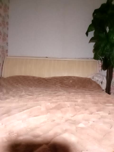 BekkiSharp Приват Записи 2026-01-07