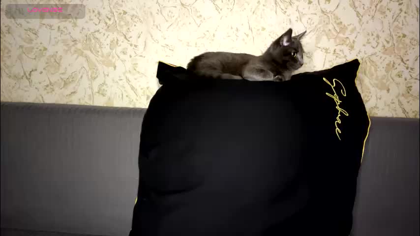 drutywerri Приват Записи 2026-01-07