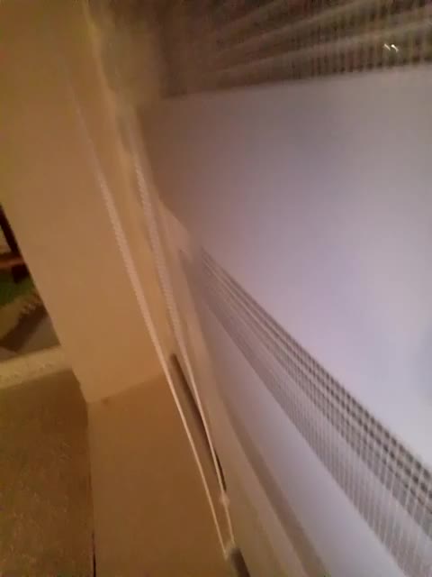 LisaVolk25 Приват Записи 2025-12-31