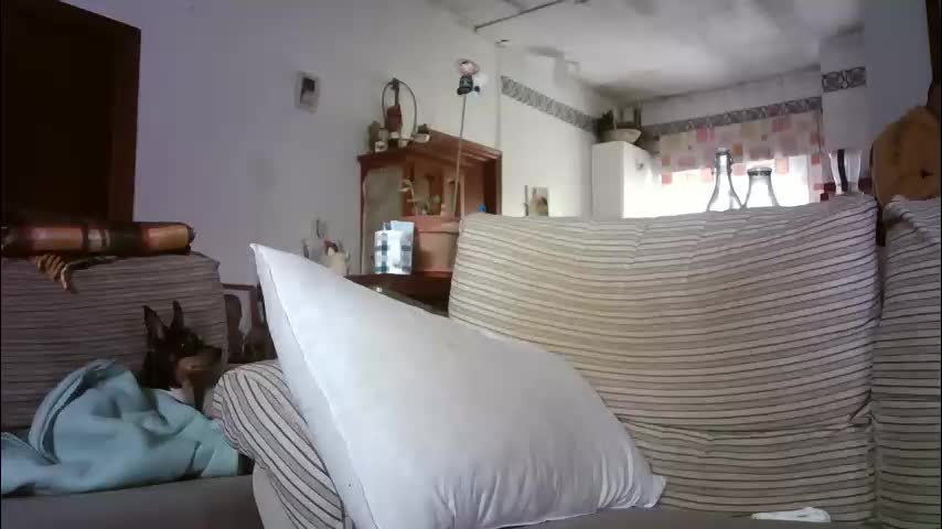 lolahueso Приват Записи 2025-12-31