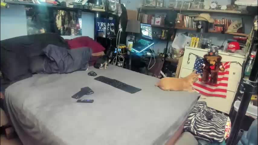 pink_black Приват Записи 2026-01-05