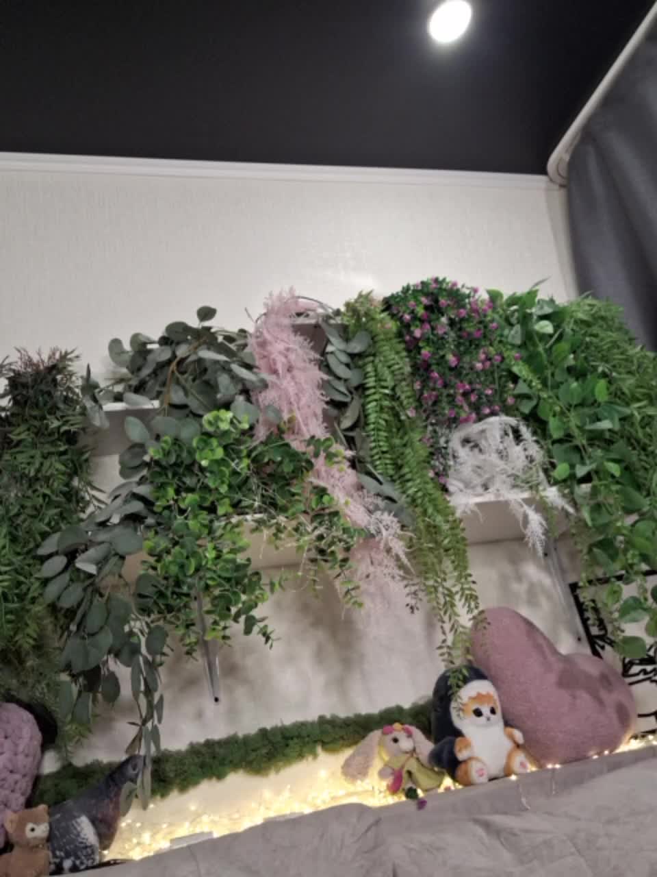 -scyrim- Приват Записи 2026-01-08