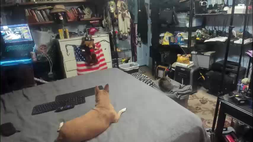 pink_black Приват Записи 2026-01-05