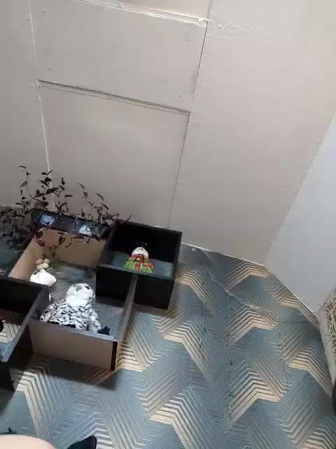 GumaLis13 Приват Записи 2026-01-07