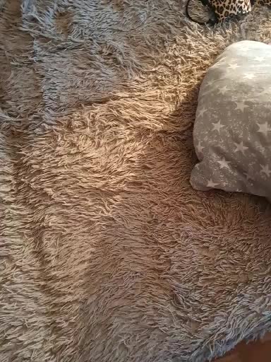 Kirill_Maria Приват Записи 2026-01-08