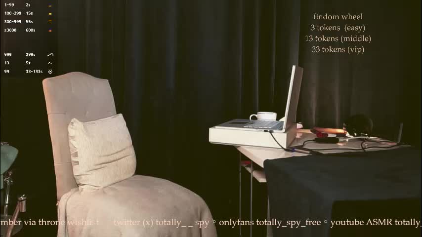 totally_spy Приват Записи 2025-12-10