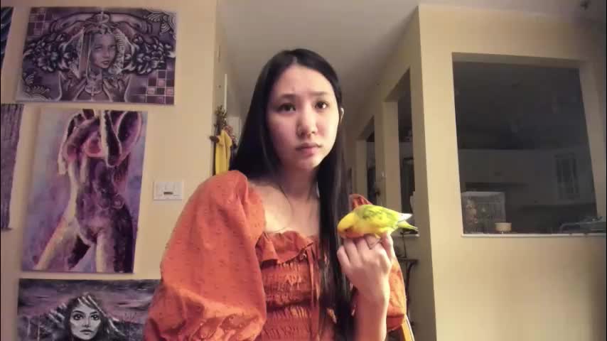 alizezaide Приват Записи 2026-01-07