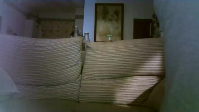 lolahueso Приват Записи 2025-11-18