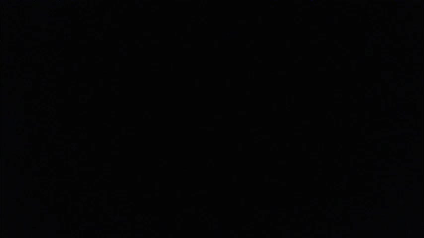 shyredstar Приват Записи 2025-12-19