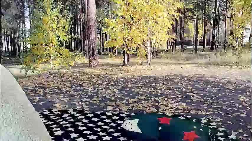 siberiataiga Приват Записи 2025-12-15