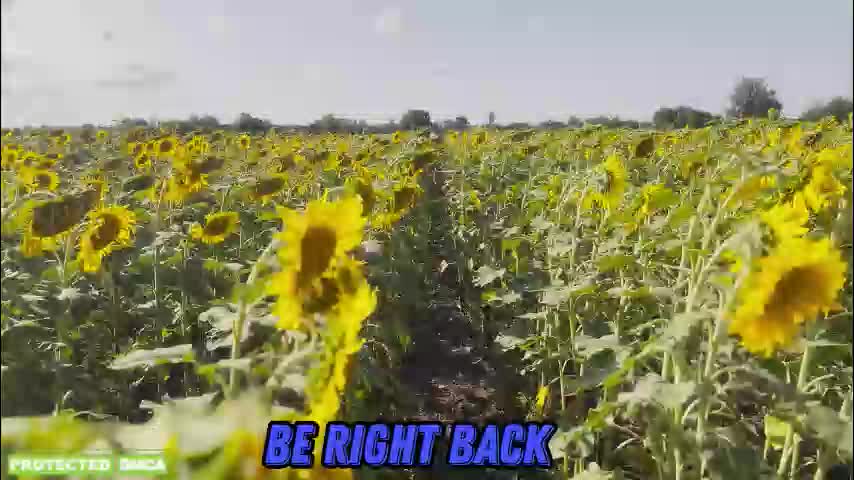 sunflower0907 Приват Записи 2026-01-08