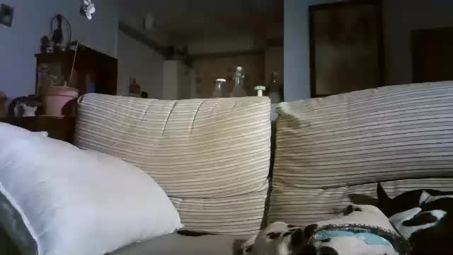 lolahueso Приват Записи 2025-11-17