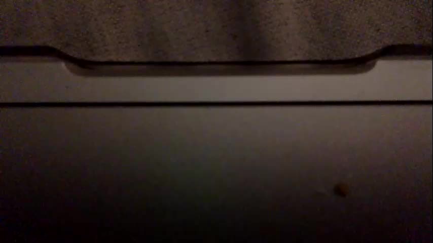 daniellbisous Приват Записи 2025-11-14