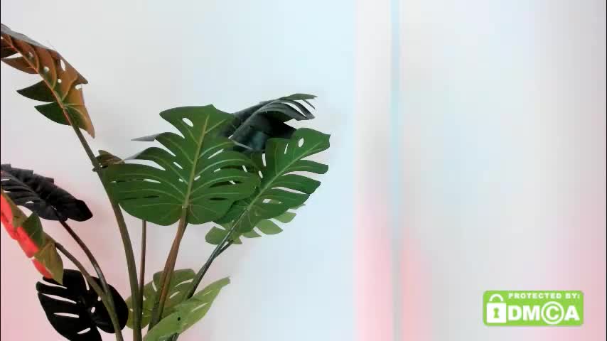 ashllovee_ Приват Записи 2025-11-16