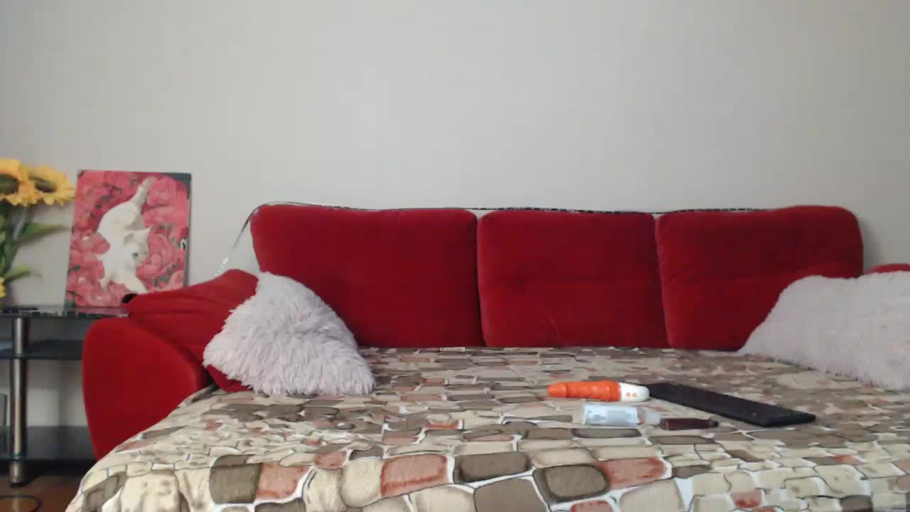 Feyka-dream Приват Записи 2026-01-08