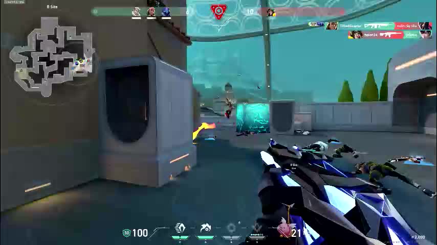 dollybm Приват Записи 2025-11-16