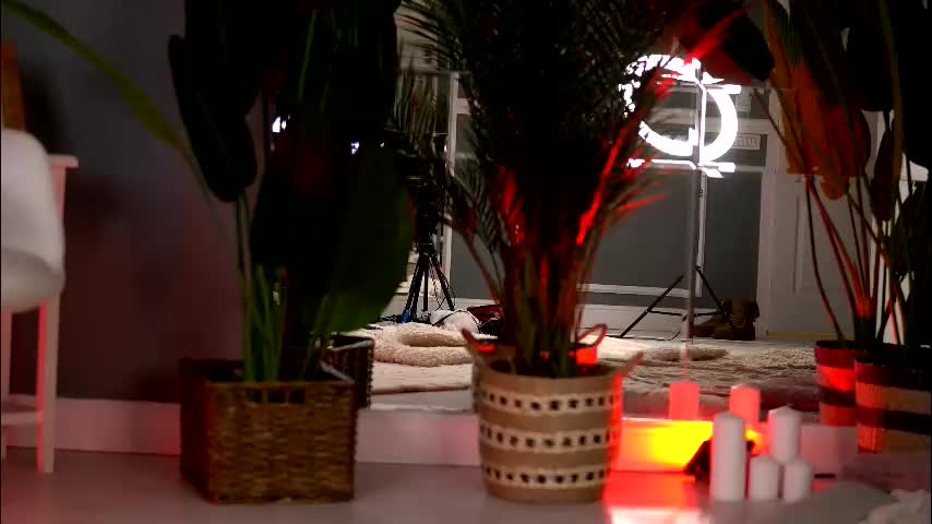 kellymathews Приват Записи 2025-12-17