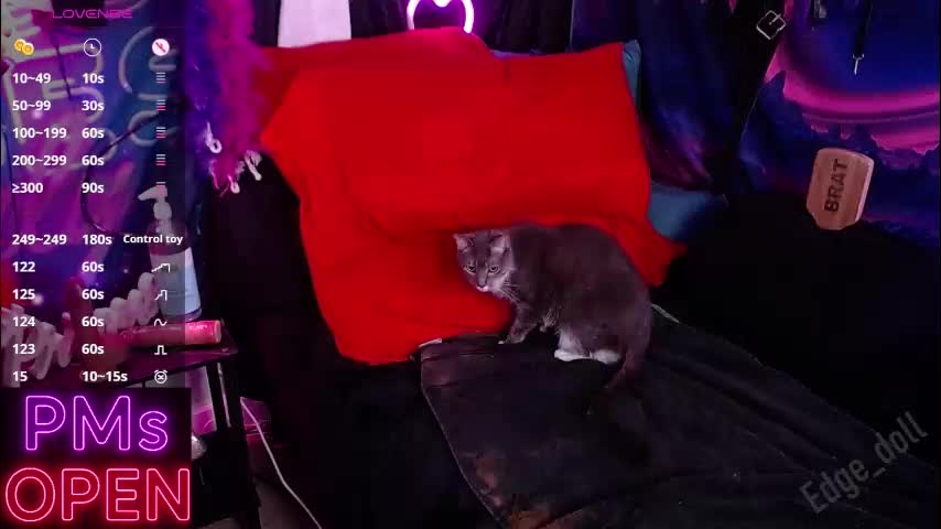 edge_doll Приват Записи 2025-12-13