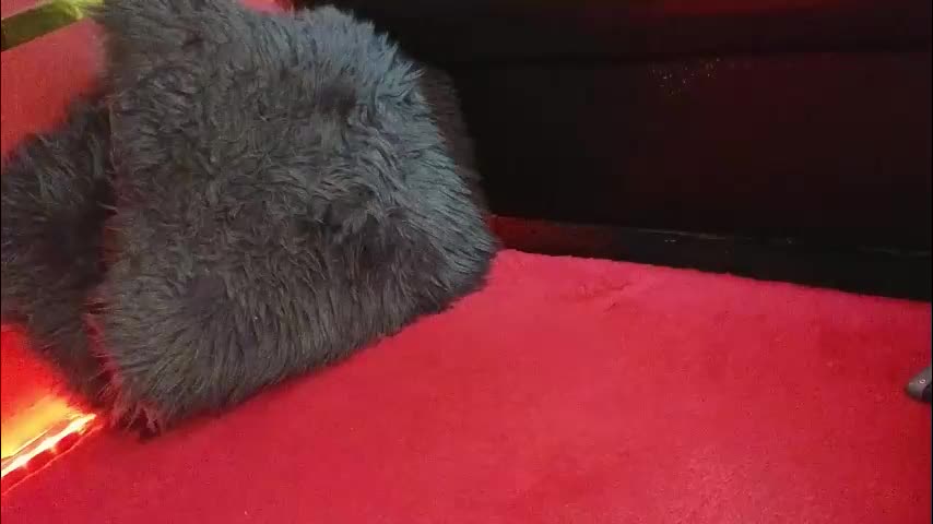 alissa4_ Приват Записи 2025-11-12