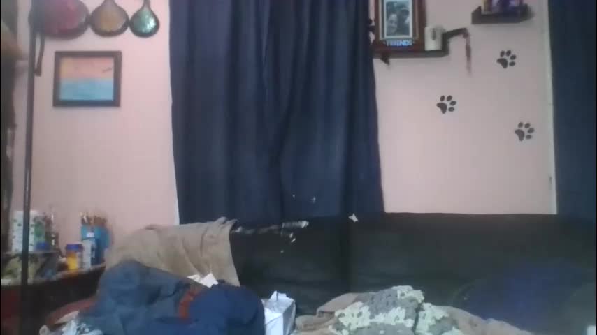 littlebigsquirt7945 Приват Записи 2025-11-14