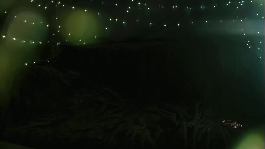 littlespacemouse Приват Записи 2025-12-12