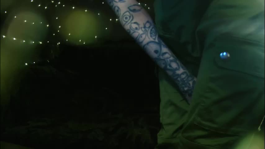 littlespacemouse Приват Записи 2025-12-12