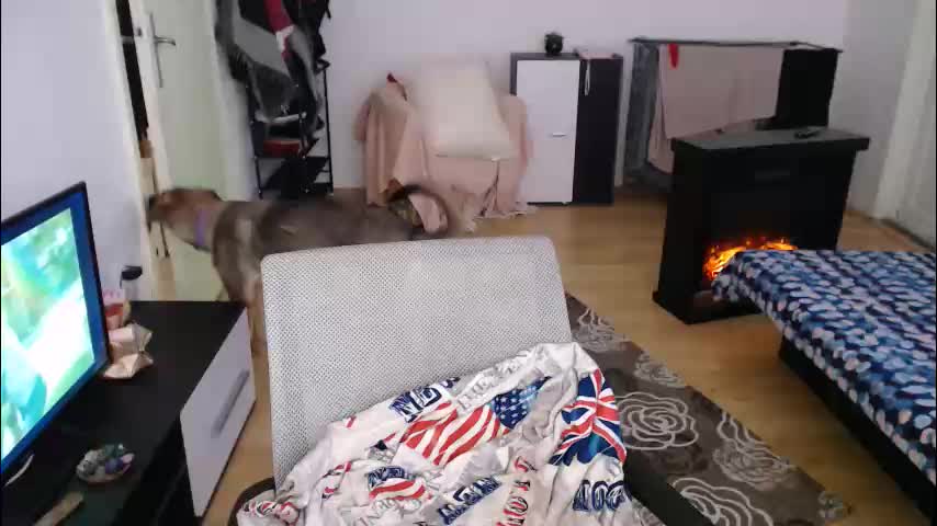 aliens4twenty Приват Записи 2026-01-09