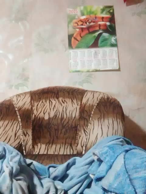 Calibriya Приват Записи 2026-01-10