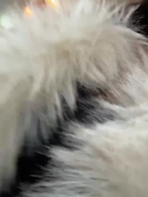 Marianna_ Приват Записи 2026-01-10