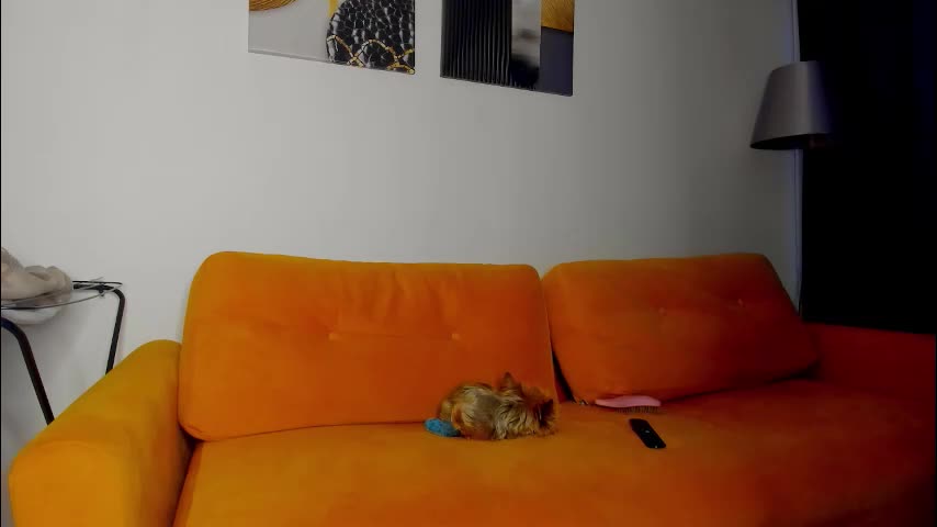 patricia_bloom Приват Записи 2026-01-10