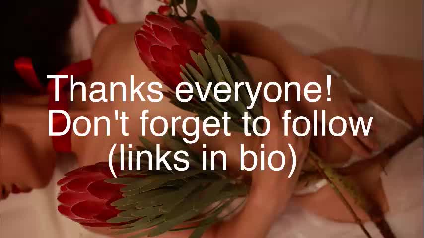 _protea Приват Записи 2026-01-10