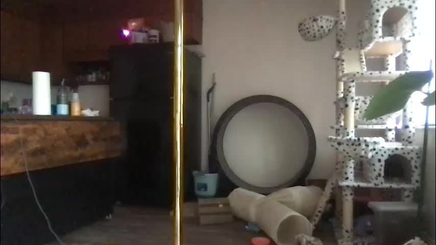 venustheflytrap Приват Записи 2026-01-11