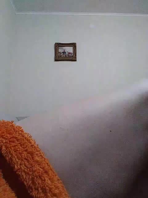 KlientVsegdaPrav Приват Записи 2026-01-11