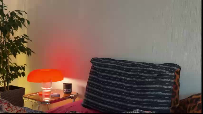 di_n_alex Приват Записи 2026-01-11