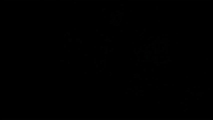 aisharouhi Приват Записи 2026-01-11