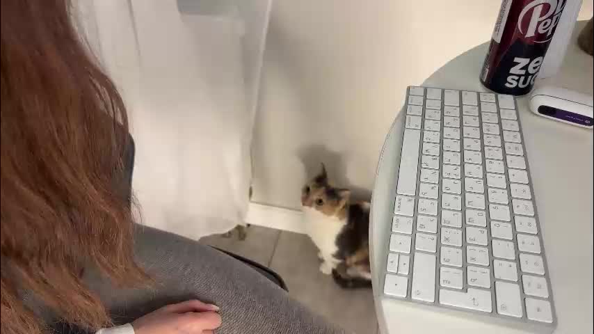 xxx_leila Приват Записи 2026-01-12