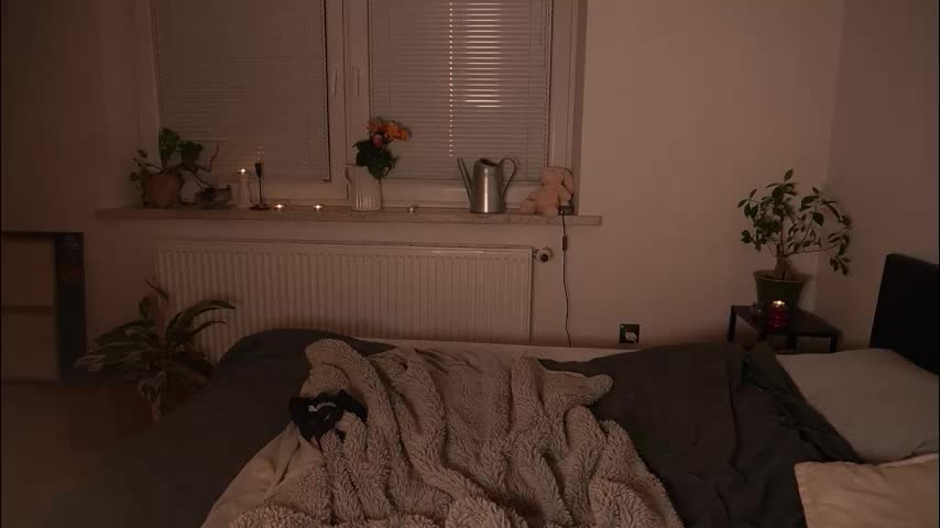 mermaids_ Приват Записи 2026-01-12