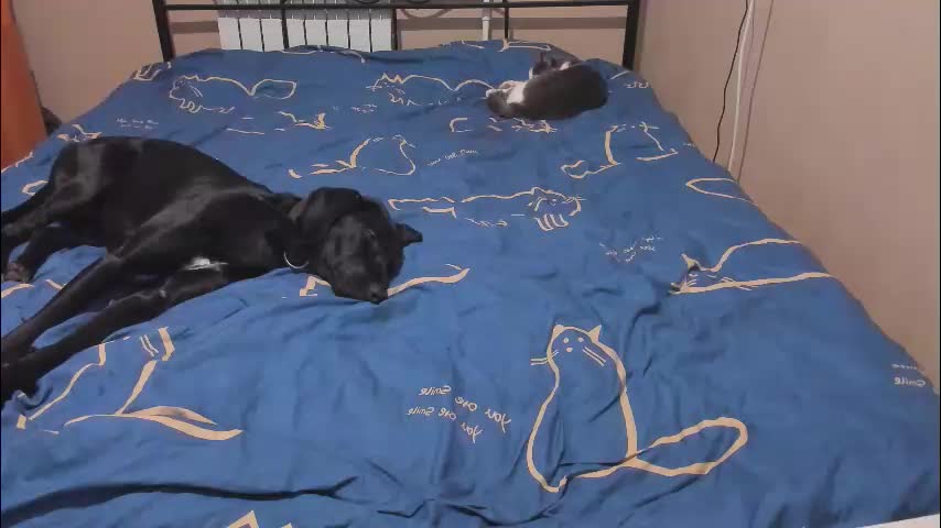 eva_zero Приват Записи 2026-01-12