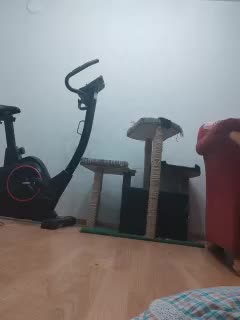 IrinaLitvinova Приват Записи 2026-01-13