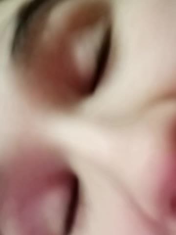 littleowlx Приват Записи 2026-01-13