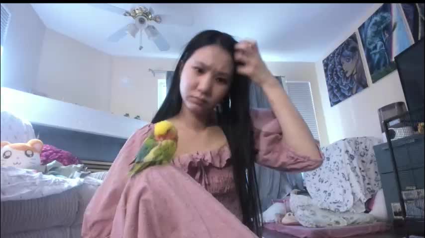 alizezaide Приват Записи 2026-01-14