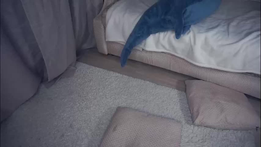 meghanantell Приват Записи 2026-01-15