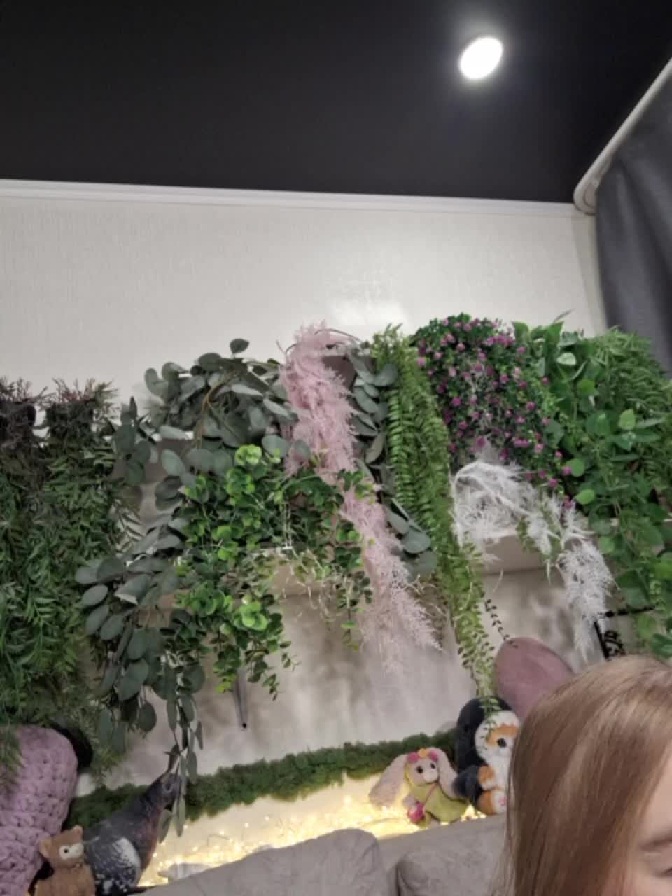 -scyrim- Приват Записи 2026-01-15