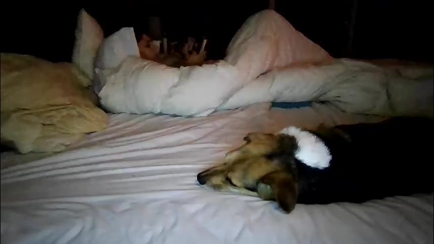 xxverabbyxx Приват Записи 2026-01-15