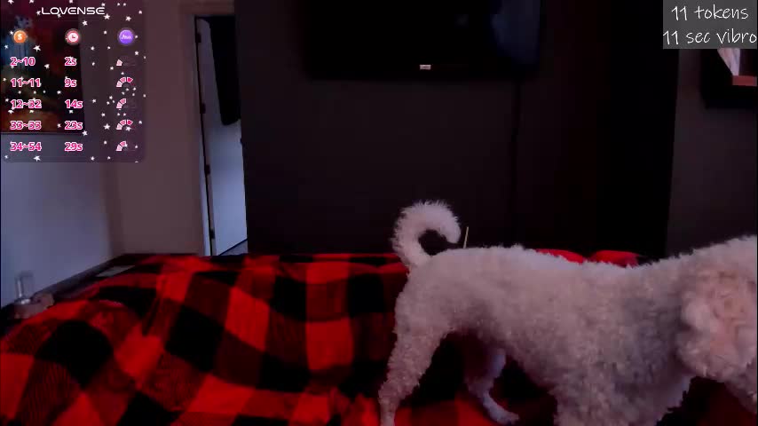 kortney_williams Приват Записи 2026-01-15