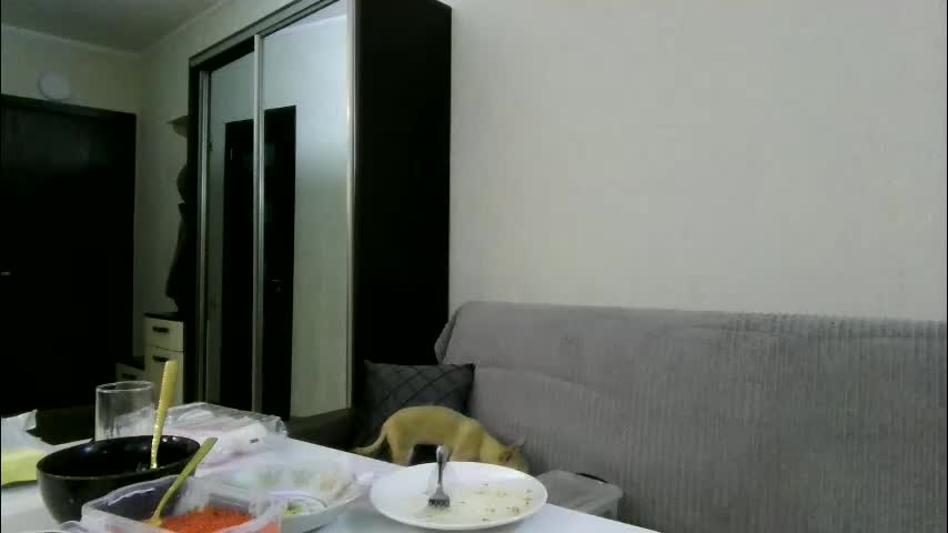 best_ass2000 Приват Записи 2026-01-15