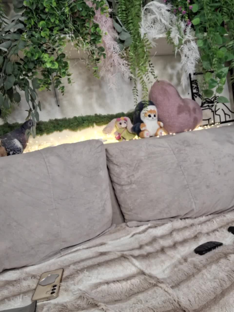 -scyrim- Приват Записи 2026-01-15