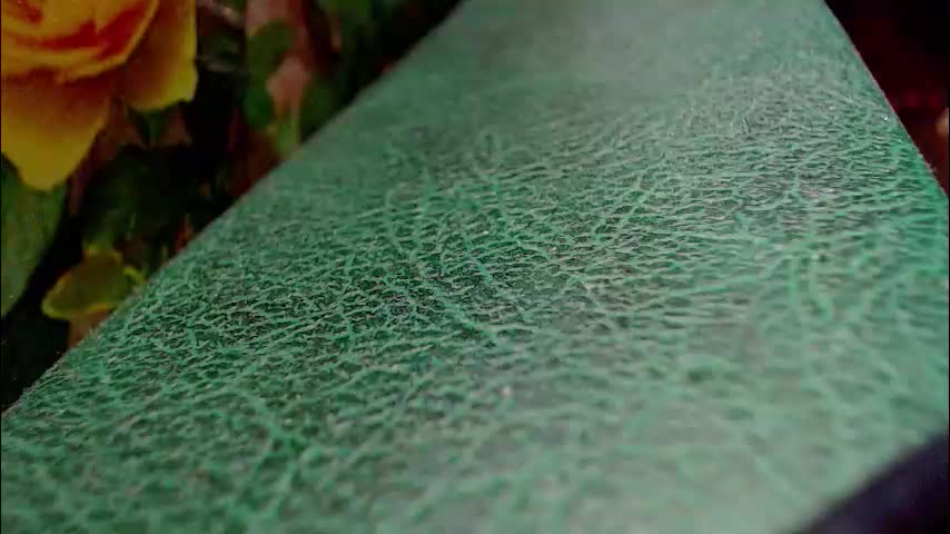 shyredstar Приват Записи 2026-01-15