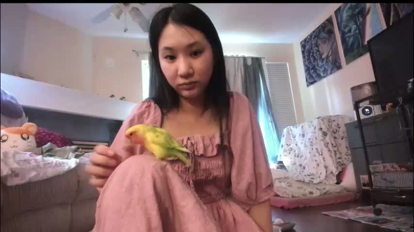 alizezaide Приват Записи 2026-01-16