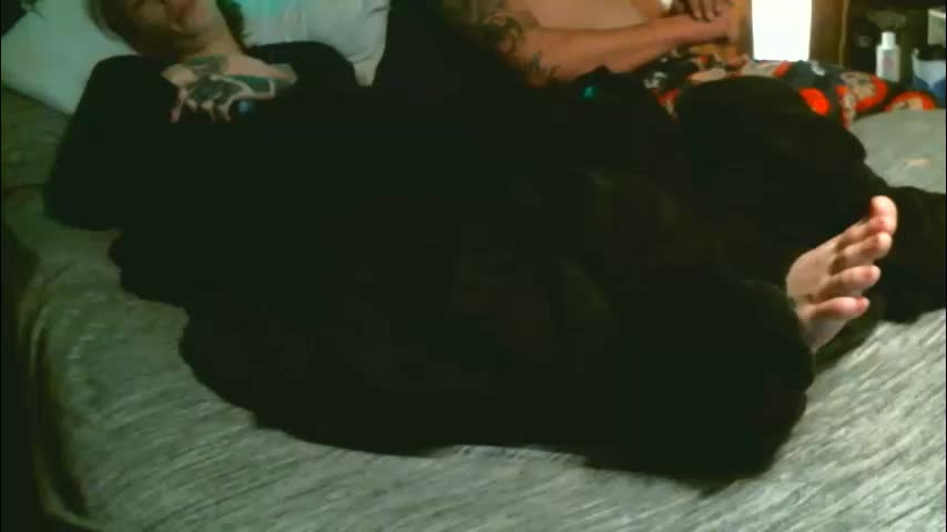 sydetrak4469 Приват Записи 2026-01-16